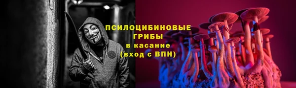 мет Алзамай