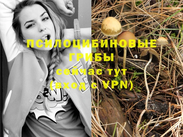 мет Алзамай