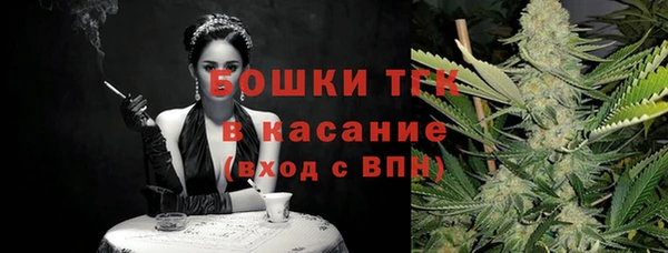 ПСИЛОЦИБИНОВЫЕ ГРИБЫ Алексин