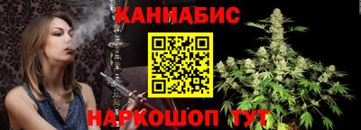 сатива Кингисепп