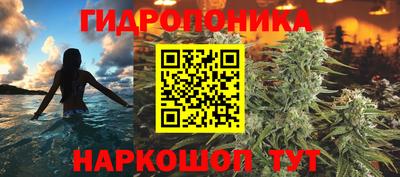 трава Кимры