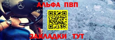 сатива Кингисепп