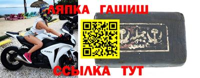 сатива Кингисепп