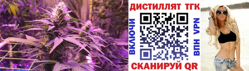 ТГК вейп  Курчалой 