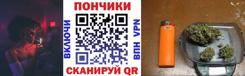 Канабис планчик  hydra   Курчалой 
